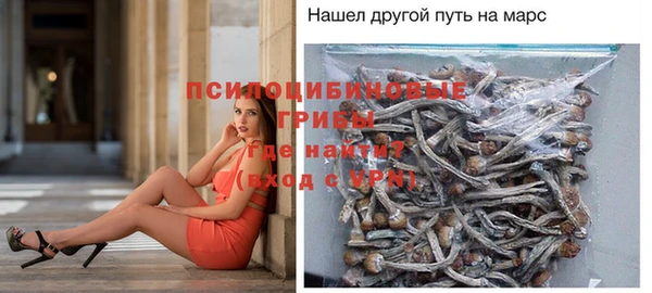 гашик Лихославль