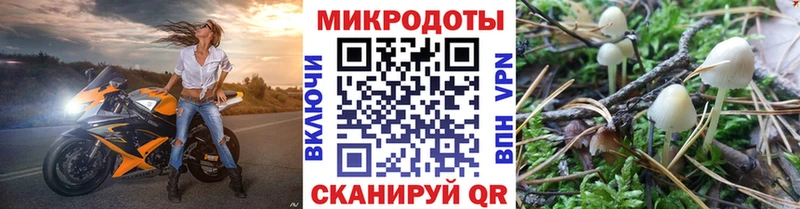 Галлюциногенные грибы мицелий  Купить  Комсомольск-на-Амуре